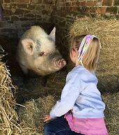 Gratton Grange Farm B&B