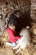 Gratton Grange Farm B&B