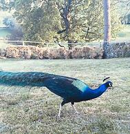 Gratton Grange Farm B&B