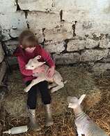 Gratton Grange Farm B&B