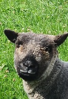 Gratton Grange Farm B&B