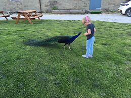 Gratton Grange Farm B&B