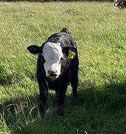 Gratton Grange Farm B&B