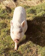 Gratton Grange Farm B&B