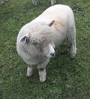 Gratton Grange Farm B&B