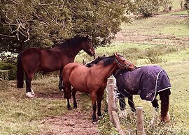 Gratton Grange Farm B&B