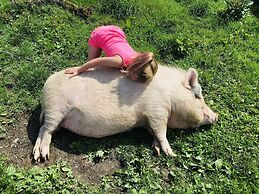 Gratton Grange Farm B&B