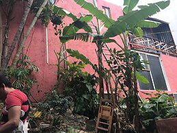 La Casa Del Nenufar - Hostel