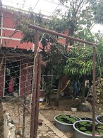 La Casa Del Nenufar - Hostel