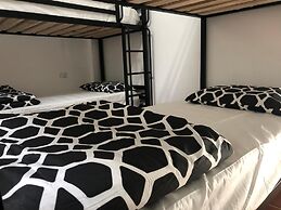 St Kilda Accommodation - Hostel