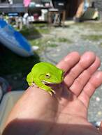 Guest House & Bar Diamond Head