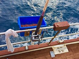 Fish and Trips