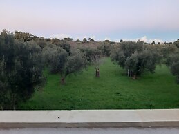 Masseria dell'800