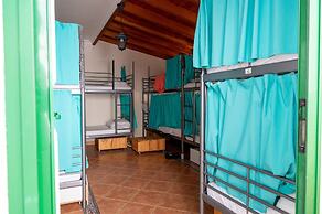 Arena Nest Hostel