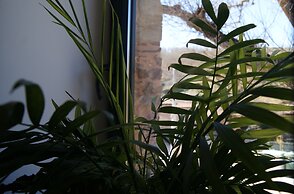 Hotel Rural Las Campares