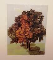 Hotel Garni Jägerhof