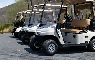 Massanutten's Woodstone Meadows by Tripforth