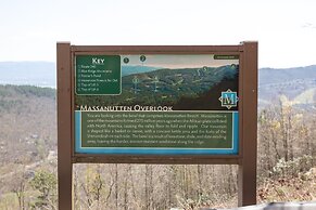 Mountainside Villas at Massanutten by Tripforth