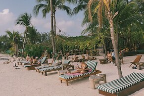 Mayan Monkey Isla Mujeres | Social Hotel