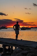 Mayan Monkey Isla Mujeres | Social Hotel