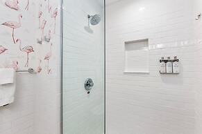 Alexander on Bedford