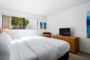 Downtown Winner at Plaza Villas