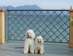 Club Del Sole Desenzano Boutique Resort