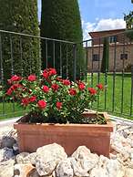 Rosa dei Venti