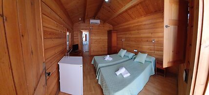 Apartamentos Palasiet