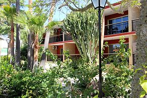 Apartamentos Palasiet