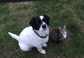 Ásahraun Guesthouse