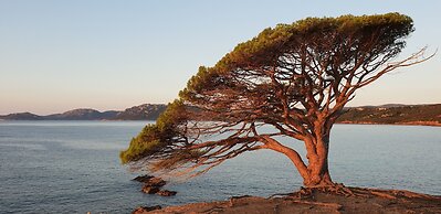 Residence Liccia Di Furu