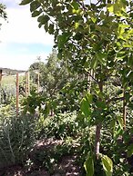 Cabanes Trésors de Campagne