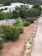 Camping Fonts de l'Algar