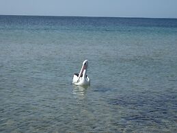 Gilligan's Kangaroo Island