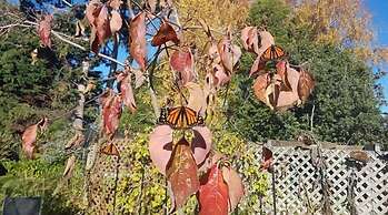 The Jolly Poacher Retreat