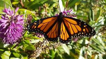 The Jolly Poacher Retreat