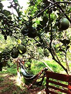 Ben Tre Farm Stay