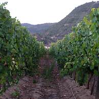 Callihue de Colchagua Lodge