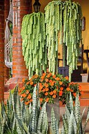 Hotel Osadía Ventura