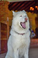 Hotel Osadía Ventura