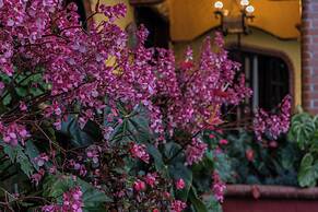 Hotel Osadía Ventura