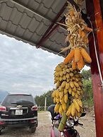 Bao Lac Homestay & Hostel