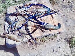 Seth Villa By Magampura Resorts