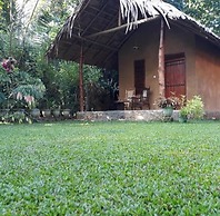 Private Organic House