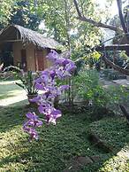 Private Organic House