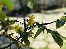 Lagi 1001 Nights Hotel