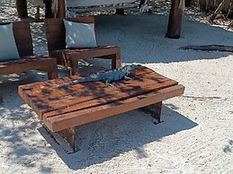 Casa Punta Coco & Beach Club