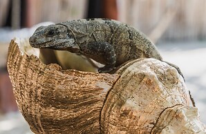 Casa Punta Coco & Beach Club