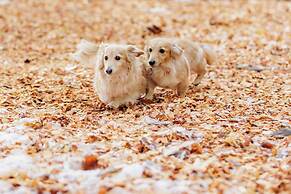KAMENOI HOTEL SHIOBARA Dog Friendly Hotel